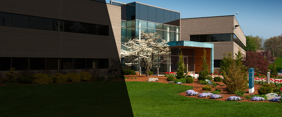 Lynnfield Landscapers