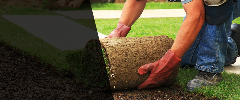 Lynnfield Landscapers